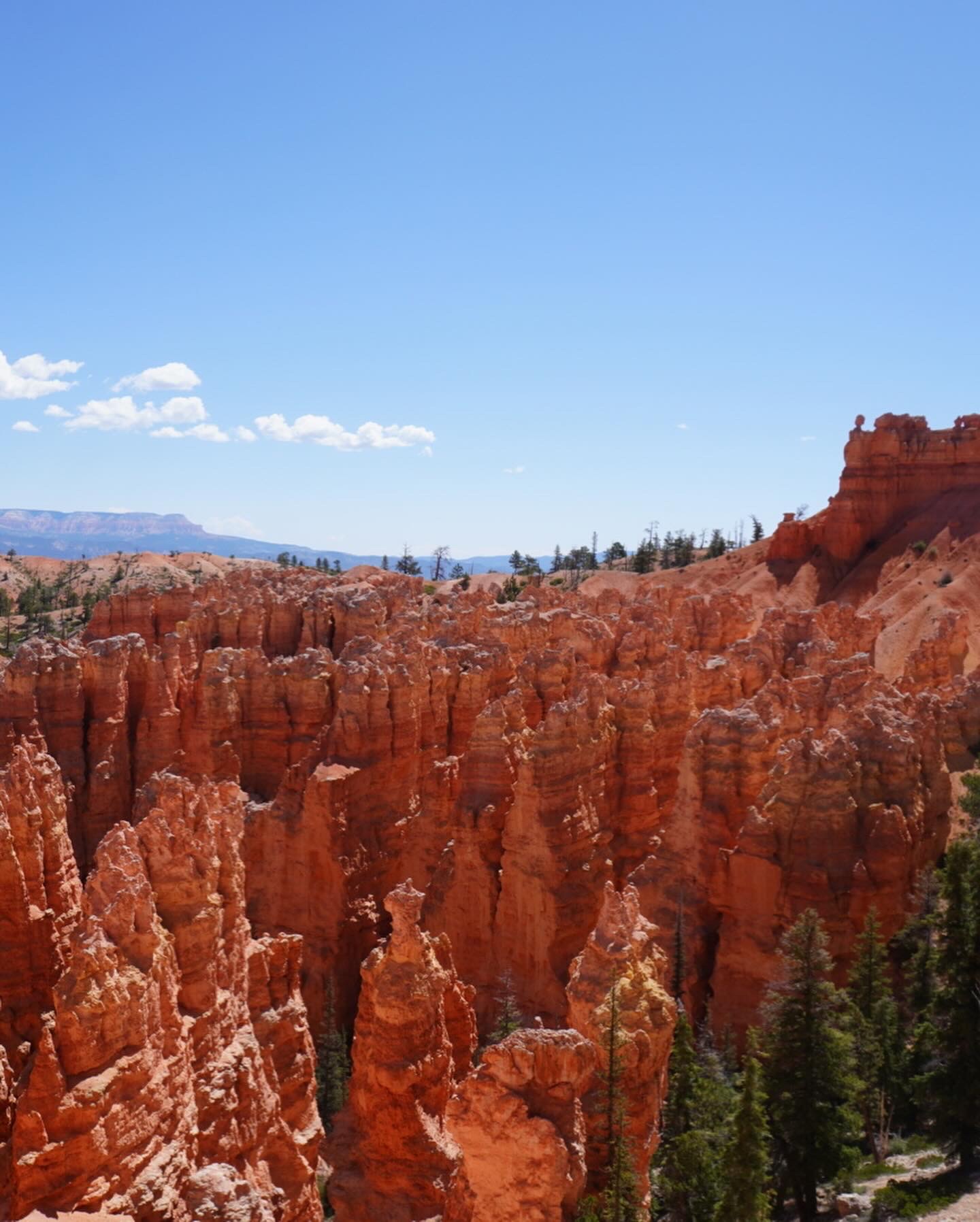 Parts if Bryce Ampitheater