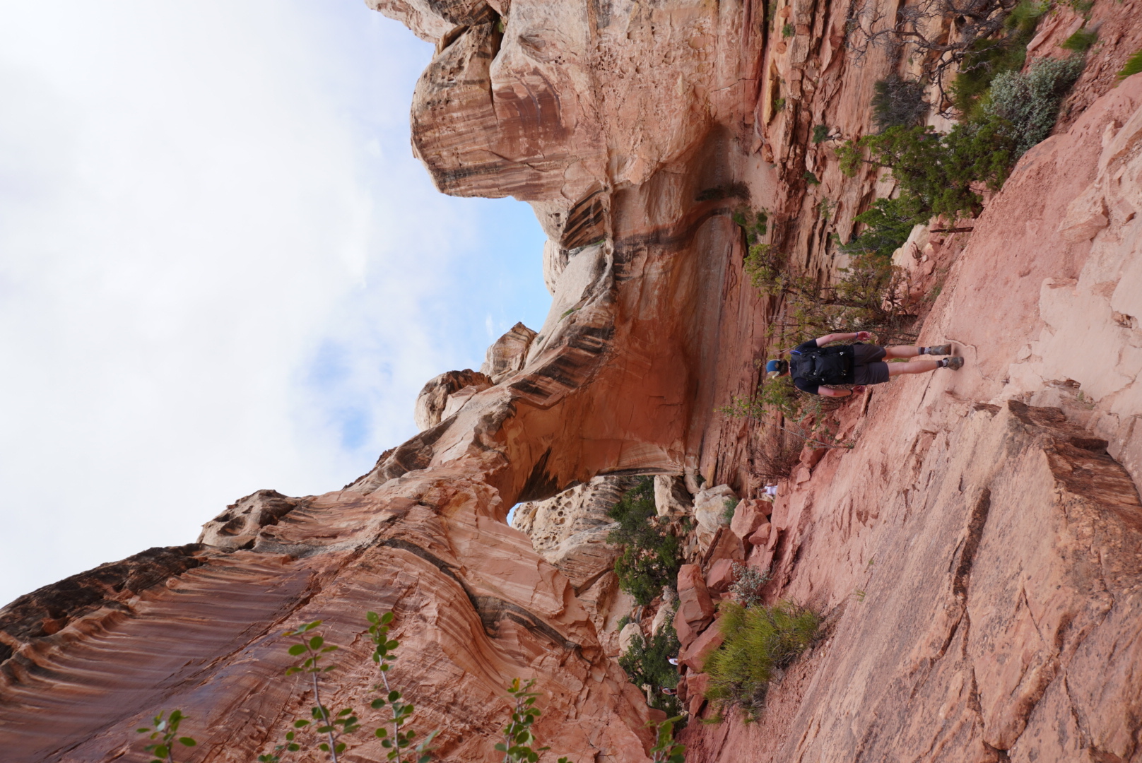 Hickman Bridge, another natural bridge which was a common occurance on this trip