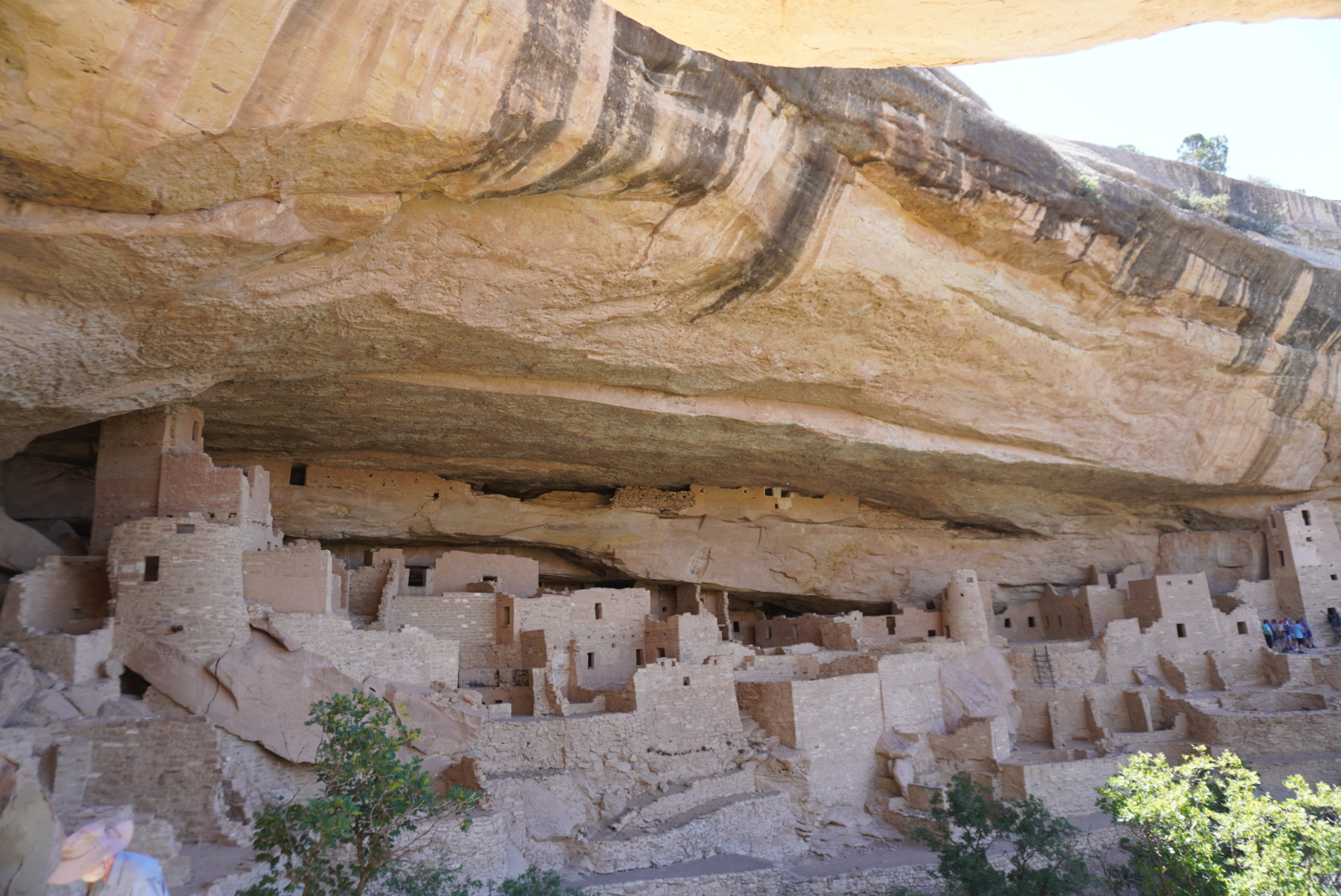 We took a tour of Cliff Palace, the largest cliff dwelling in MV