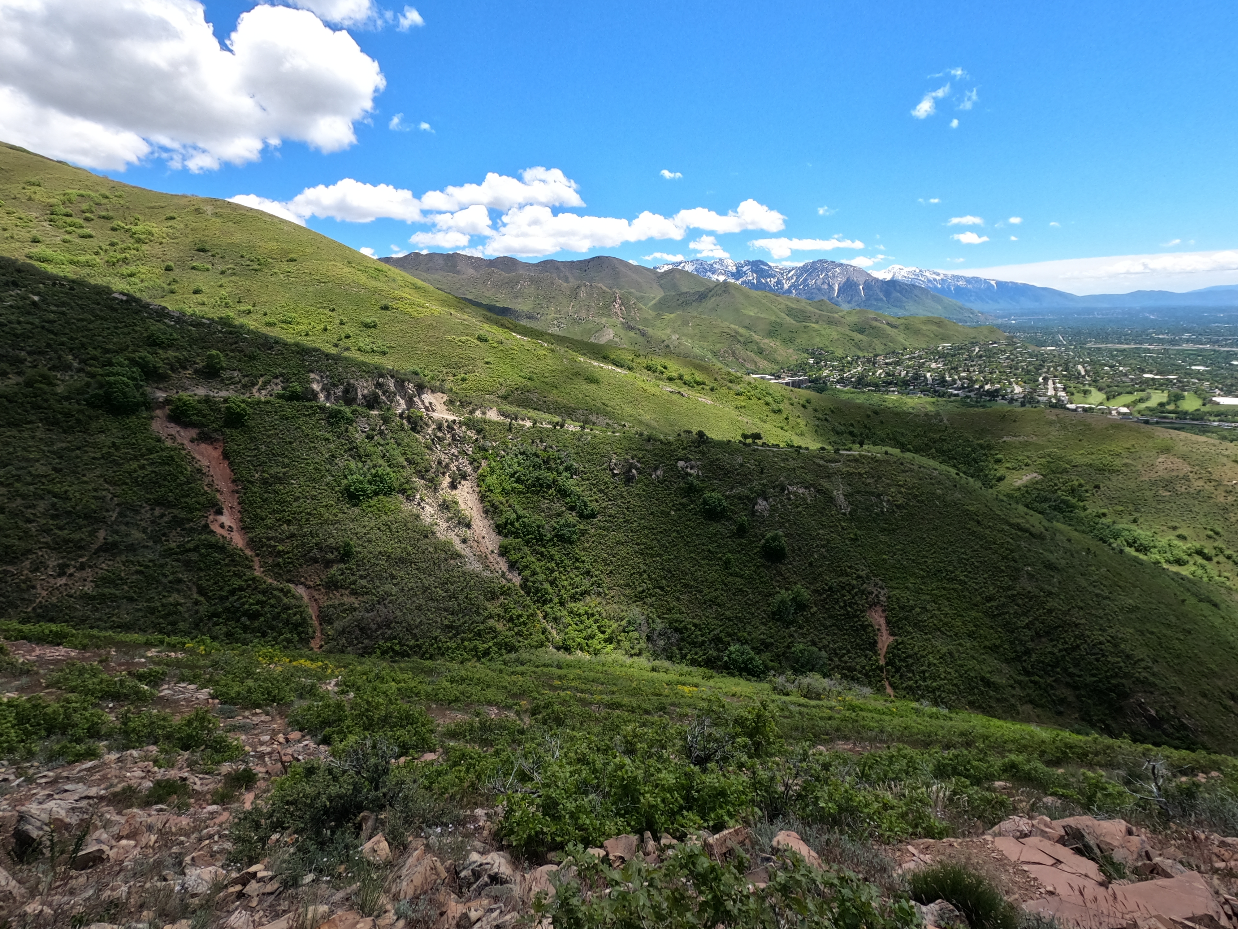 Living Room Lookout trail in SLC